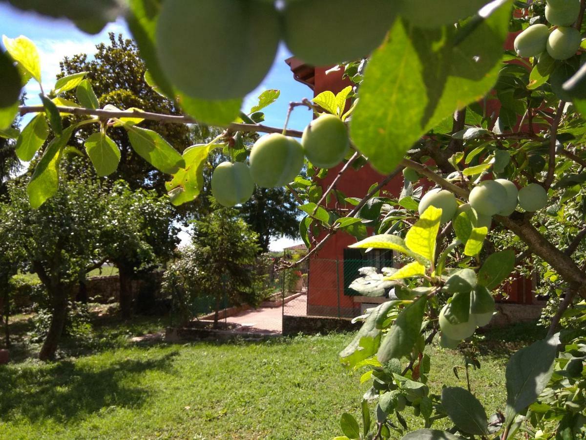 Corte Clocego Βερόνα Εξωτερικό φωτογραφία